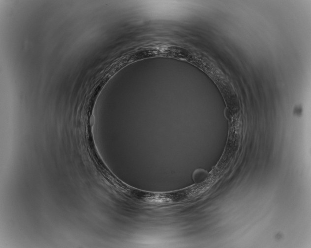 X0000099500754200805291128