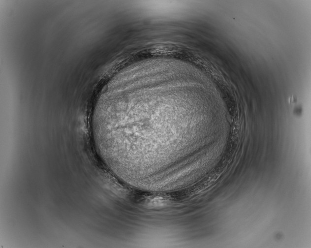 X0000099500755200805291128