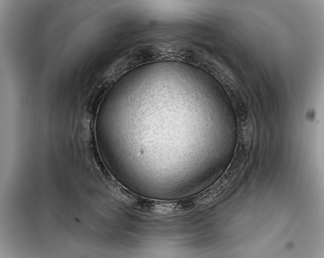 X0000099500757200805291128