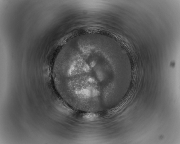 X0000099500759200805291128