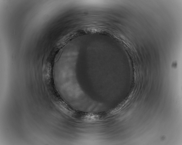 X0000099500760200805291128