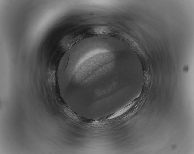 X0000099500762200805291128