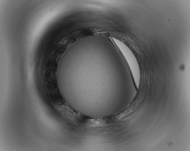 X0000099500763200805291128