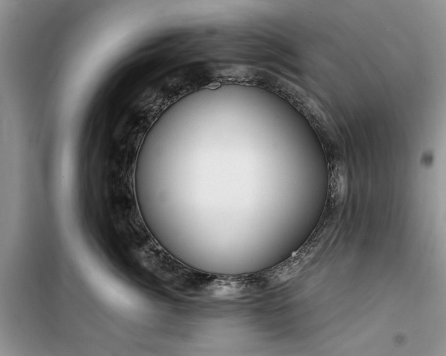 X0000099500764200805291128