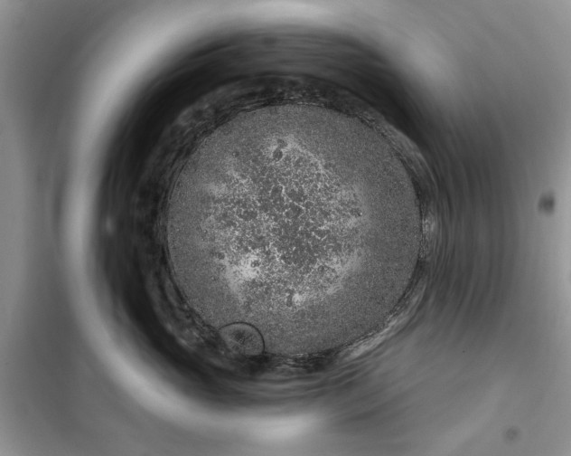 X0000099500765200805291128