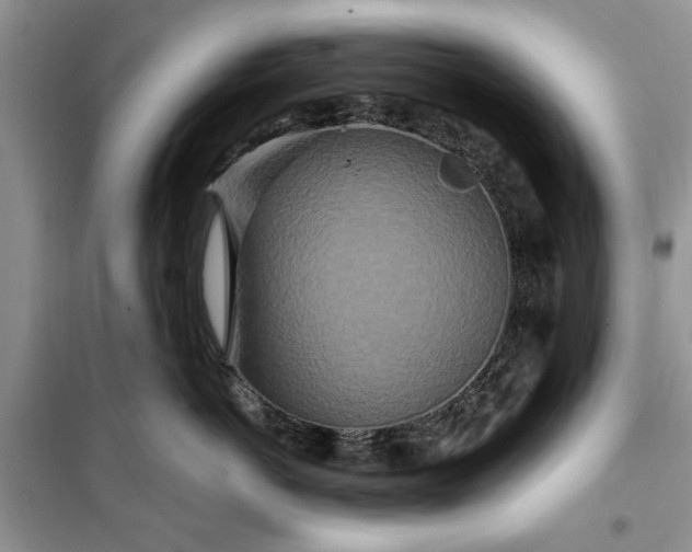 X0000099500766200805291128