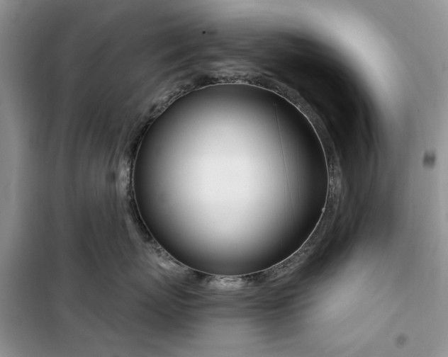 X0000099500767200805291128