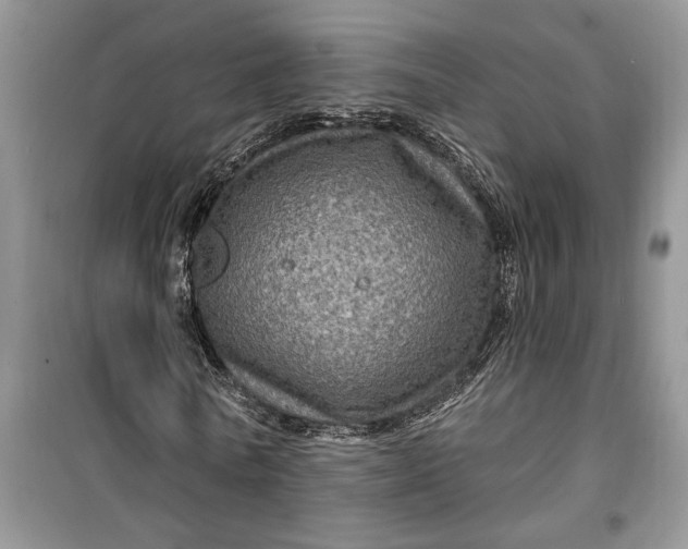 X0000099500770200805291127