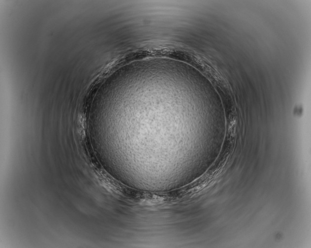 X0000099500772200805291127