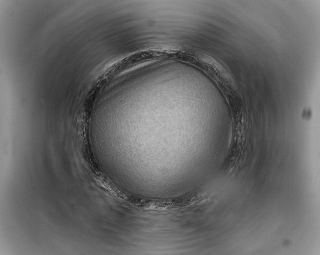 X0000099500773200805291127