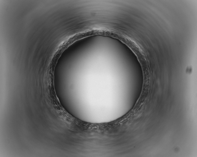 X0000099500776200805291127