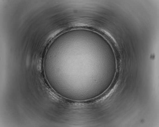 X0000099500777200805291127