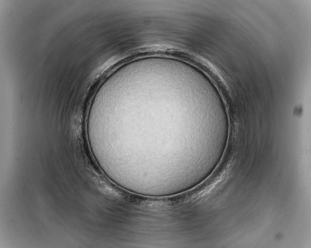 X0000099500778200805291127