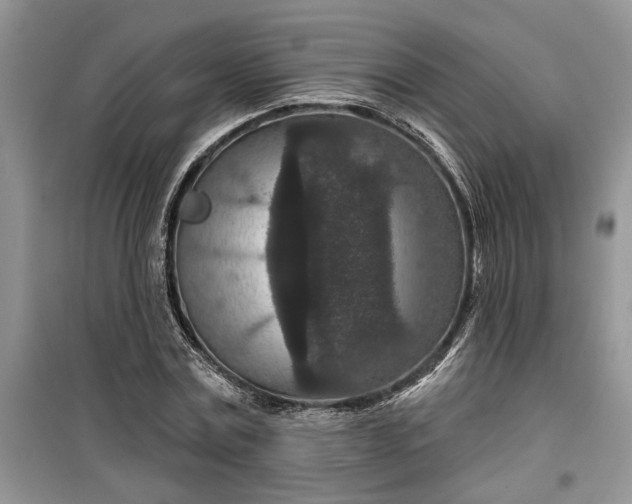 X0000099500779200805291127