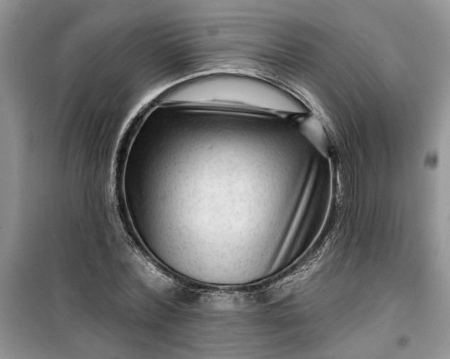 X0000099500780200805291127