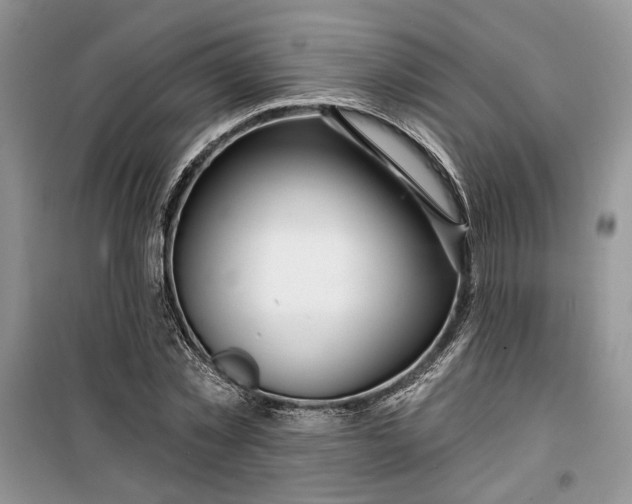 X0000099500781200805291127