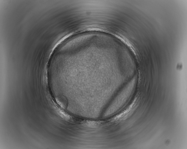 X0000099500782200805291127