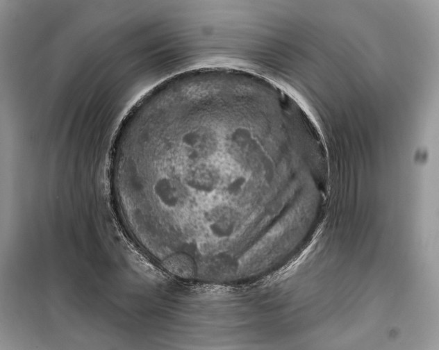 X0000099500783200805291127