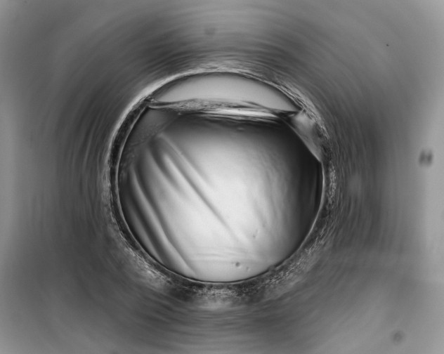 X0000099500784200805291127