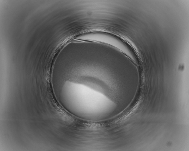 X0000099500785200805291127