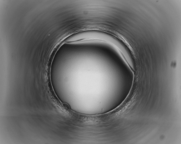 X0000099500786200805291127