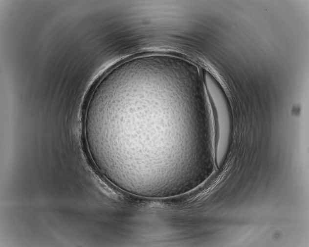 X0000099500787200805291127