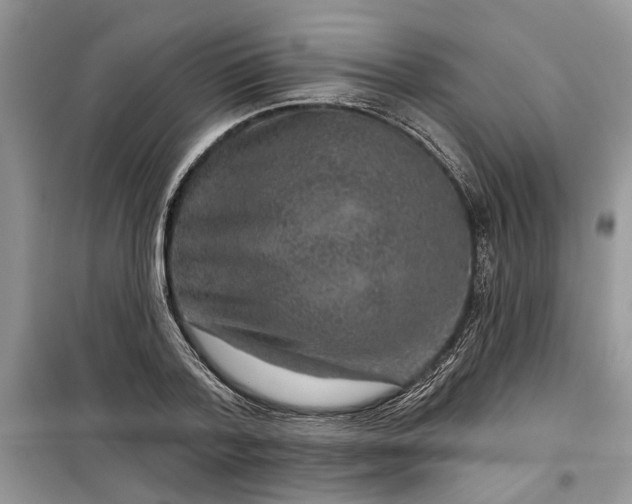 X0000099500788200805291127