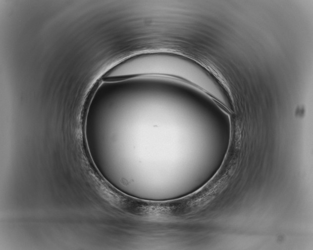 X0000099500789200805291127