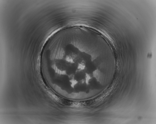 X0000099500790200805291127