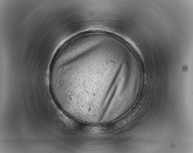 X0000099500791200805291127