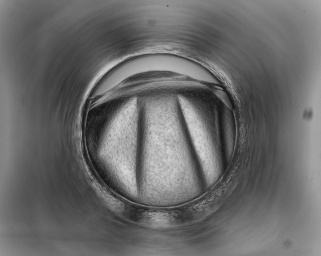 X0000099500792200805291127