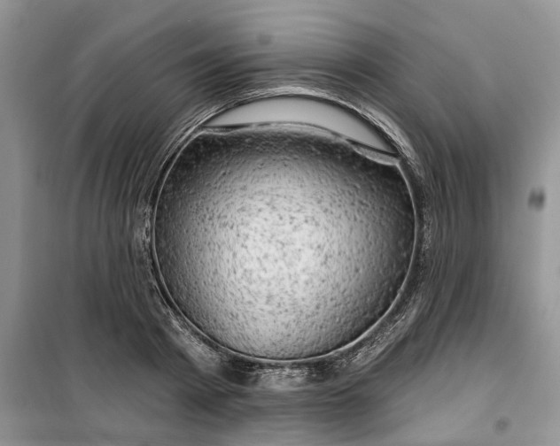 X0000099500793200805291127