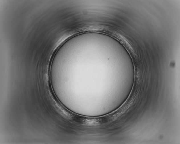 X0000099500794200805291127