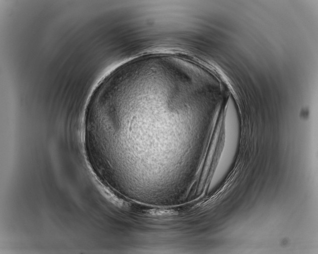 X0000099500795200805291127