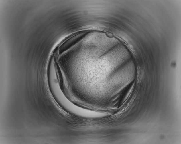 X0000099500796200805291127