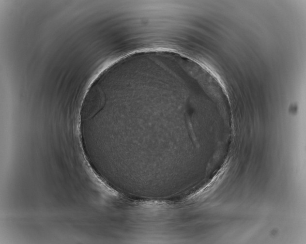 X0000099500797200805291127