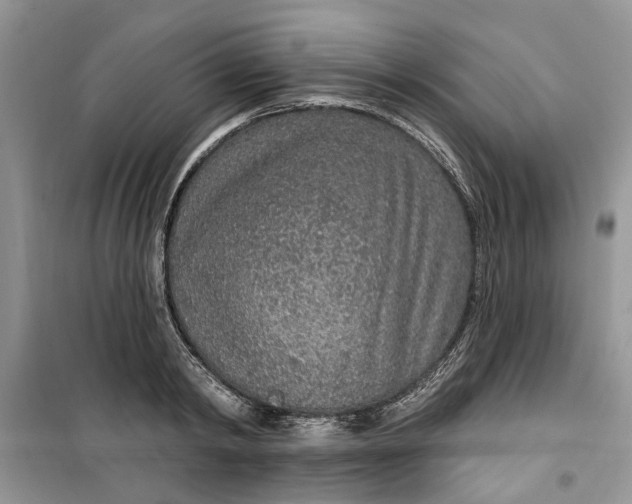 X0000099500798200805291127