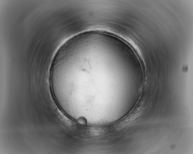 X0000099500799200805291127