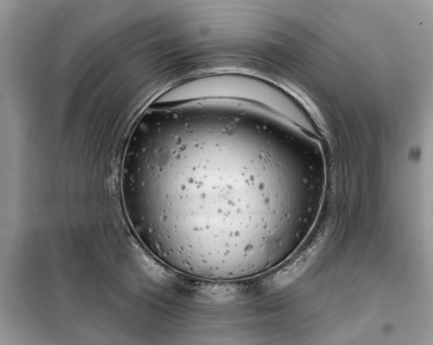 X0000099500801200805291127