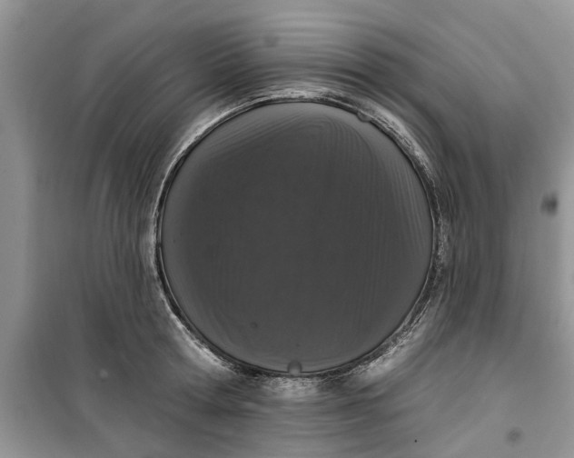 X0000099500802200805291127