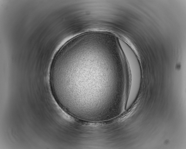 X0000099500803200805291127