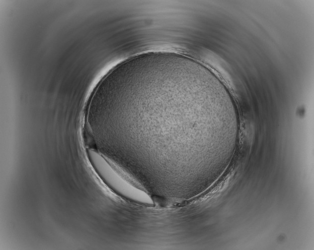 X0000099500804200805291127