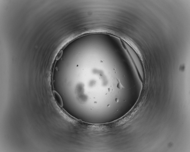 X0000099500805200805291127