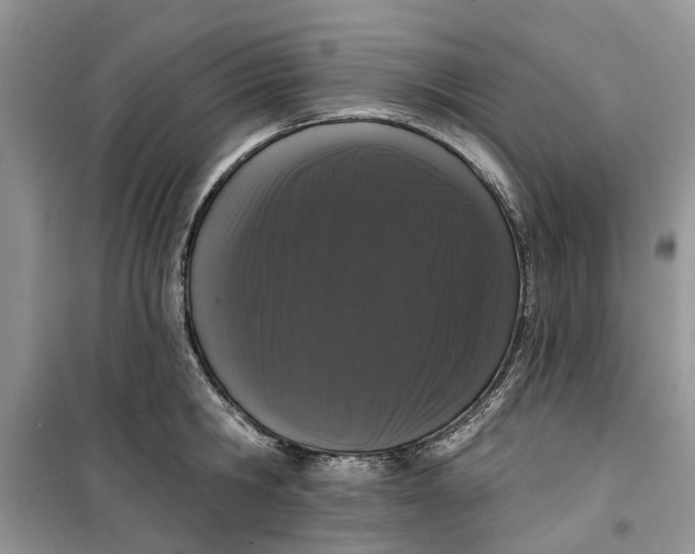 X0000099500806200805291127