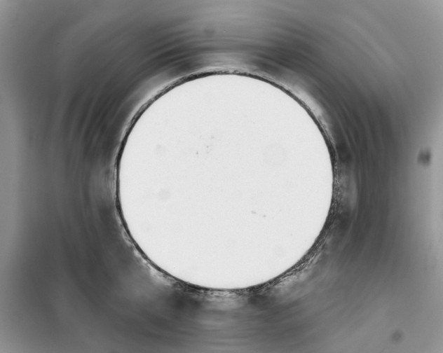 X0000099500807200805291127