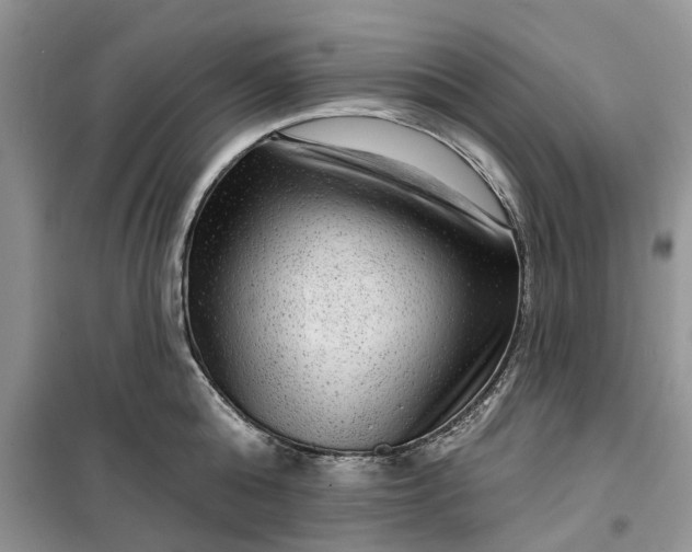 X0000099500808200805291127