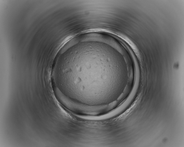 X0000099500809200805291127