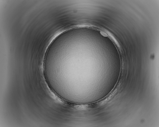 X0000099500810200805291127