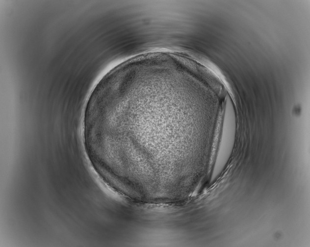 X0000099500811200805291127