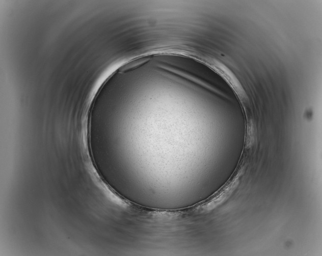 X0000099500812200805291127